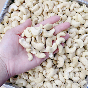 Trusted Factory Kaju Cashew <b>Nuts</b> <b>Kernel</b> Cashew <b>Kernel</b> SANTIGO Caju Badam Exported Worldwide - Product Image 1