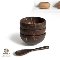 Ensemble de bols en noix de coco polis Artex Quang Phu avec cuillères et fourchettes en bois, sous-verres, faits à la main, écologiques, design bohème, prêts pour les fêtes