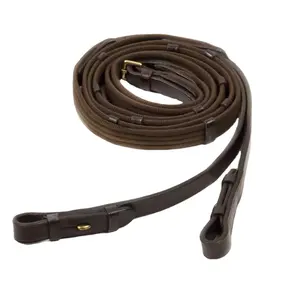 Horse dressage reins for horses intelligent