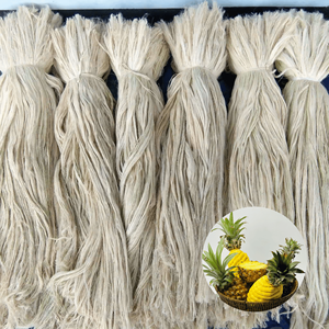 Fibra de Hoja de Piña Natural, Estándar Internacional, Precio Competitivo de Fábrica en Vietnam, Empacada en Cartón - Product Image 1