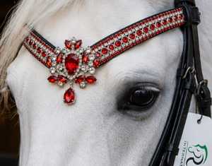 Venta al por mayor de cuero de caballo Crystal Horse 7860B de Rub International, cómodo, con logotipo personalizado, colores personalizados, diseños personalizados, MOQ 10 piezas - Product Image 1