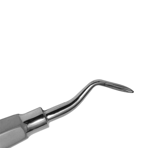 Juego de Elevadores Dentales Premium para Extracción de Dientes, Acero Inoxidable, PDL, Instrumentos Quirúrgicos para Extracción de Raíces, CE ISO - Product Image 3