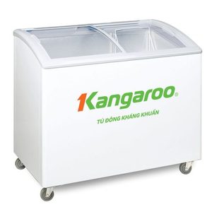 Congelador Horizontal de Doble Temperatura OEM de Vietnam – Congelador Eléctrico de Doble Puerta con Descongelación Manual para Uso Doméstico y Comercial - Product Image 1