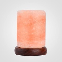 Pasokan Grosir Lampu Silinder Garam Kristal Himalaya Pink Alami Ukiran Tangan dengan Alas Kayu