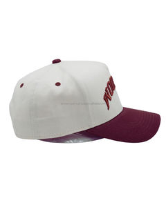 Gorra de Béisbol Econex Sports de 5 Paneles, Personalizada, de Alta Calidad, Estilo Vintage, Logotipo Personalizado, Bordado 3D, Transpirable, Impermeable, OEM - Product Image 2