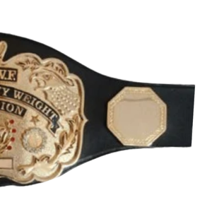 Ceinture de champion de la catégorie poids lourd junior WWE, design plaqué or, sangle noire, ceinture de championnat de lutte de collection - Product Image 4
