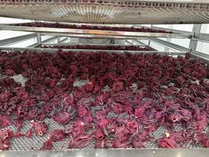 Fleurs d'hibiscus séchées de qualité alimentaire pour la décoration culinaire, pétales de roselle séchés naturels, colorant alimentaire, approvisionnement en vrac, haute qualité - Product Image 3