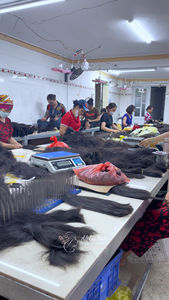 Extensiones de cabello virgen alineado con cutícula recta de hueso sedoso sin procesar vietnamita crudo de la mejor calidad peluca Frontal de encaje HD - Product Image 6