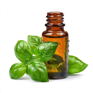 Huile essentielle de basilic de haute qualité 100% pure et naturelle pour l'aromathérapie, la nutrition du cuir chevelu et les soins de la peau au meilleur prix - Product Image 3