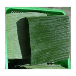 Feuilles de bananier biodégradables pour l'emballage alimentaire naturel, solution d'emballage sans plastique avec qualité standard d'exportation - Product Image 2