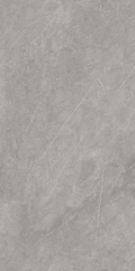 ENDLESS 020 GRIS 800x1600mm Carreaux en porcelaine à surface brillante - Design moderne style ferme pour supermarché et usage extérieur - Product Image 2