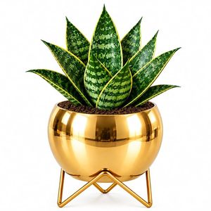 Modern Gold Metal Planter with Geometric Stand Chrome Plated Round <b>Pot</b> for Indoor <b>Succulents</b> - Product Image 2