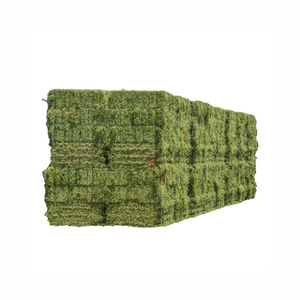 Heno de Alfalfa / La Mejor Alfalfa en Venta - Product Image 1