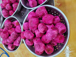 Cubos de Pitaya Congelados IQF, Trozos de Fruta Tropical, Paquete a Granel de Vietnam para Smoothies, Postres y Adornos de Repostería - Product Image 5