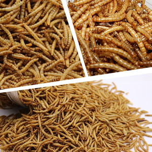 Top Grade <b>Dried</b> <b>Mealworm</b> and Yellow Puffing Insect Based Pet Food at Competitive Price - Product Image 1