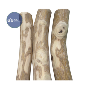 Más Vendido: Juguete Masticable de Madera de Café de Alta Calidad para Perros, Cuidado Dental Natural para Mascotas, Juguete Interactivo para Limpieza Dental, Venta al por Mayor y Exportación - Product Image 1