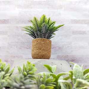Accesorios para casa de muñecas en miniatura, adorno en maceta de imitación de planta verde escarchada blanca de corcho, decoración en miniatura para mayores de 14 años - Product Image 4
