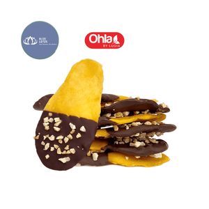 BEST SELLING Glory Natural Sweet Dried Mango Syrup Coated in <b>Chocolate</b> Bulk Fruit Snack Mix Supply - Product Image 1