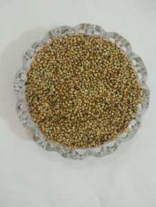 Reen Traders Mijo Verde No Modificado Genéticamente (Hara Bajra Pearl Millet) Grano Entero para Alimentación Animal y Consumo Humano, Larga Vida Útil - Product Image 1