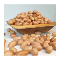 Kacang Tanah India Kelas Ekspor Premium, Kadar Air Maksimal 7-9%, Campuran 1% Aflatoxin, Sesuai Standar, Kemasan Dapat Disesuaikan, Grosir