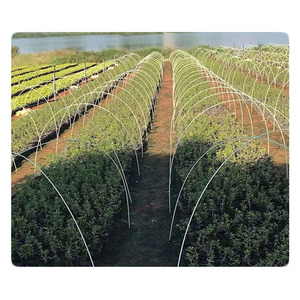 Varilla Redonda de Fibra de Vidrio Pultruida de 6 mm para Agricultura, Estaca Agrícola, Productos de Fibra de Vidrio - Product Image 5