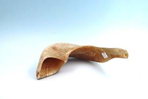 Shofar de Cuerno de Carnero Molido a Mano, Semipulido, Natural, Kosher, Judío, de 13-15 pulgadas (30-34 cm) - Product Image 2