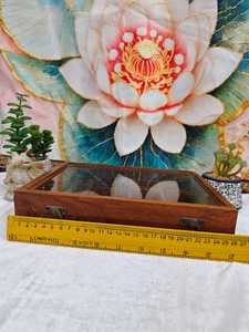 Boîte à épices en bois de Sheesham, 12 pots, sans taxes douanières |   Boîte à épices en bois faite à la main |   Cuisine Sacrée de Vrindavan - Product Image 4