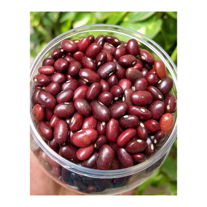 Frijol Rojo a Granel de Bajo Precio, Calidad de Exportación, Envío Rápido - Product Image 6