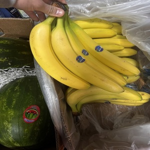 Bananes Cavendish vertes fraîches de qualité supérieure pour les marchés de gros, les services de restauration commerciale et les acheteurs en gros - Product Image 2