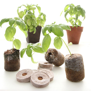 Lowest Vietnam Factory Price Natural Coconut Peat <b>Coir</b> Pellet for Seed Nursery Cocopeat Pellets - Product Image 5