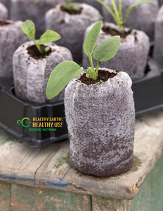 Coco Peat Pellets for Commercial Horticulture – Efficient <b>Seed</b> Starting, Plant <b>Propagation</b> & Nursery Production - Product Image 6