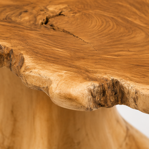 Table basse ARTERRA en teck massif, faite à la main, écologique, facile à nettoyer, durable, moderne, en racine de teck récupérée, mobilier de maison - Product Image 2