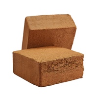 Blocs de Cocopeat 5Kg biodégradables à vendre à un prix avantageux Blocs compressés respirants et biologiques 100% pour l'agriculture, le jardinage