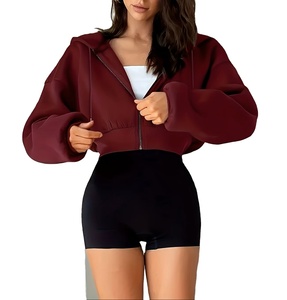 Front Hooded Lined Sweatshirt <b>Jacket</b> Hip Hop Short <b>Cropped</b> Design Long Sleeve Top for Spring Autumn Winter - Product Image 1