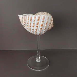 Copas de vino de concha marina, artesanía hecha a mano, mejor precio, copas de cóctel martini para fiestas y accesorios de bar. - Product Image 6