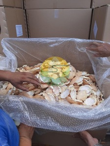 Coquille de crabe séchée naturelle pour plats de fruits de mer, peinture artistique et artisanat décoratif - Product Image 4