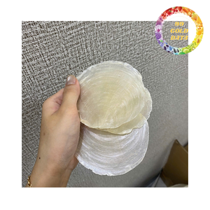 Natural Capiz <b>Shell</b> Tiles Sheets for <b>Lighting</b> Decoration Handmade <b>Shell</b> Panel for Lampshades - Product Image 2