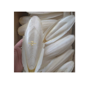 Friandise dentaire naturelle pour animaux de compagnie VietChoice : bec de calmar séché biologique pour le nettoyage des dents - Product Image 6