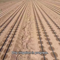 Ruban goutte-à-goutte PE durable de 16 mm, épaisseur de paroi de 0,15 à 0,4 mm, intégré en ligne, pour serre agricole, économiseur d'eau