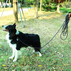 Laisse Réfléchissante pour Animaux, <span class=keywords><strong>Corde</strong></span> de Liaison pour Entraînement Canin avec Mousqueton Verrouillable pour Promenades en Extérieur et Utilisation en Parc pour Chiens - Product Image 5