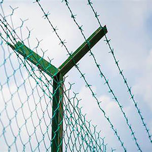 Rouleau de <span class=keywords><strong>fil</strong></span> de fer <span class=keywords><strong>barbelé</strong></span> galvanisé à chaud double brin modèle 12*14 pour clôture de pâturage, vente en gros usine Shengsen - Product Image 2