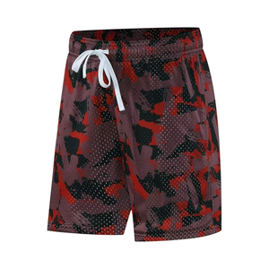 Pantalones Cortos Casuales de Malla Estampada para Hombre, de Poliéster, para Gimnasio, Verano, OEM, ODM, Fabricante con Logotipo Personalizado - Product Image 5