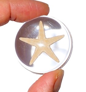 Starfish Real Specimen Plastic Cabochon Round 38x38 mm Clear Flat Bottom for Crafts and Jewelry Making - Product Image 1