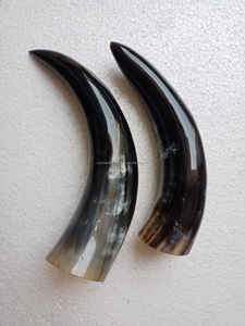 Corne de boeuf polie écologique de haute qualité meilleur prix pour une caractéristique animale élégante pour la corne à boire Viking artisanat naturel - Product Image 4