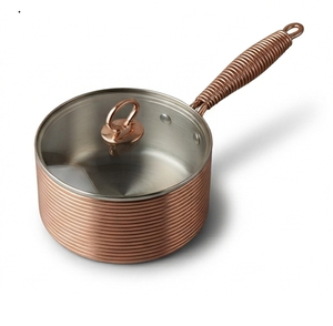 Compatible Stainless Steel Saucepan Contemporary Design Copper Coiled Metal Saucepan Best Selling <b>Induction</b> Cooker - Product Image 5