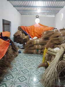 Bâtonnets de noix de coco séchés fabriqués au Vietnam |   Matériel de fabrication de balais naturels de qualité supérieure |   Bâtonnets de feuilles de noix de coco séchées naturelles - Product Image 4