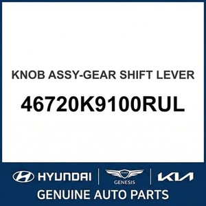 Nouveaux interrupteurs et commandes Kona 46720K9100RUL - Product Image 1