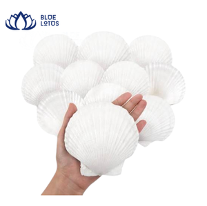 MEJOR VENDIDO Campanilla de Viento Ecológica de Conchas Marinas Naturales, Decoración Colgante Hecha a Mano, Estilo Náutico Costero, Feng Shui, Venta al por Mayor, AZUL - Product Image 1