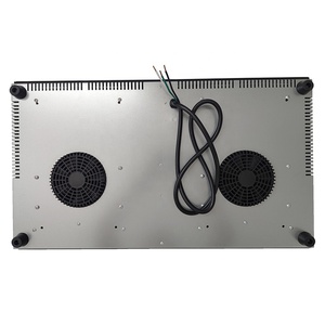 LinFeng Kanger <span class=keywords><strong>Plaque</strong></span> <span class=keywords><strong>de</strong></span> <span class=keywords><strong>cuisson</strong></span> à induction en verre à commande coulissante Cuisinière horizontale à induction à double brûleur Table <span class=keywords><strong>de</strong></span> <span class=keywords><strong>cuisson</strong></span> <span class=keywords><strong>de</strong></span> 4000 watts - Product Image 5