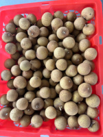 Vietnam Idor Longan Met Zoete Sappige Smaak Dunne Schil En Klein Zaadje Ideaal Voor Verse Consumptie En Exportdistributie
